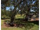 7 Pindari Grove Montefiores via, Wellington NSW 2820