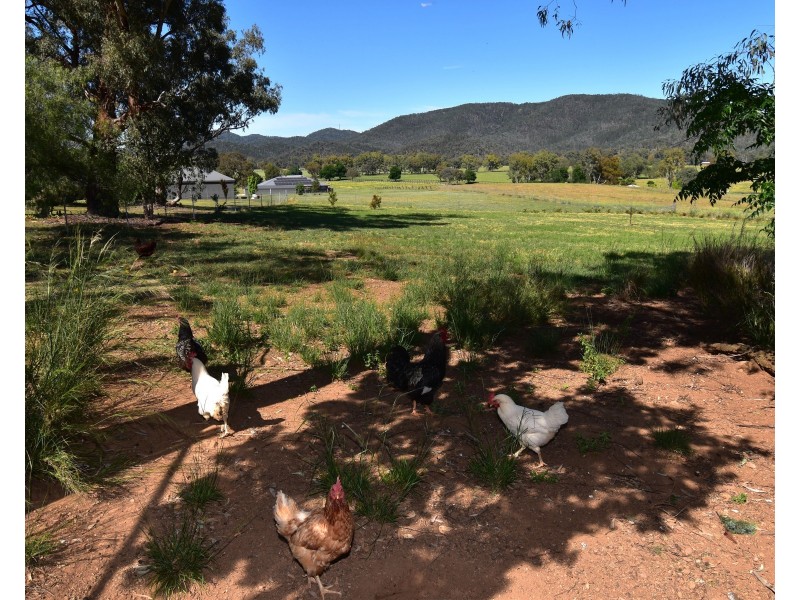 7 Pindari Grove, Montefiores NSW 2820