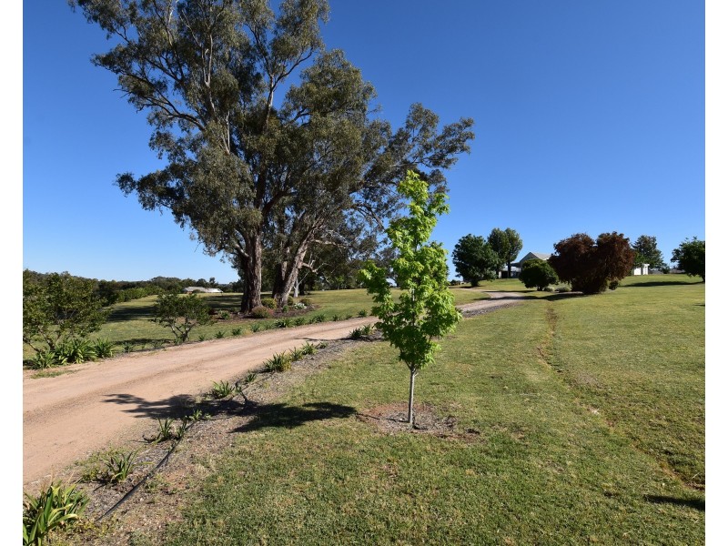 7 Pindari Grove, Montefiores NSW 2820