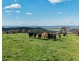 350 Ingles Road NEUREA Via, Wellington NSW 2820
