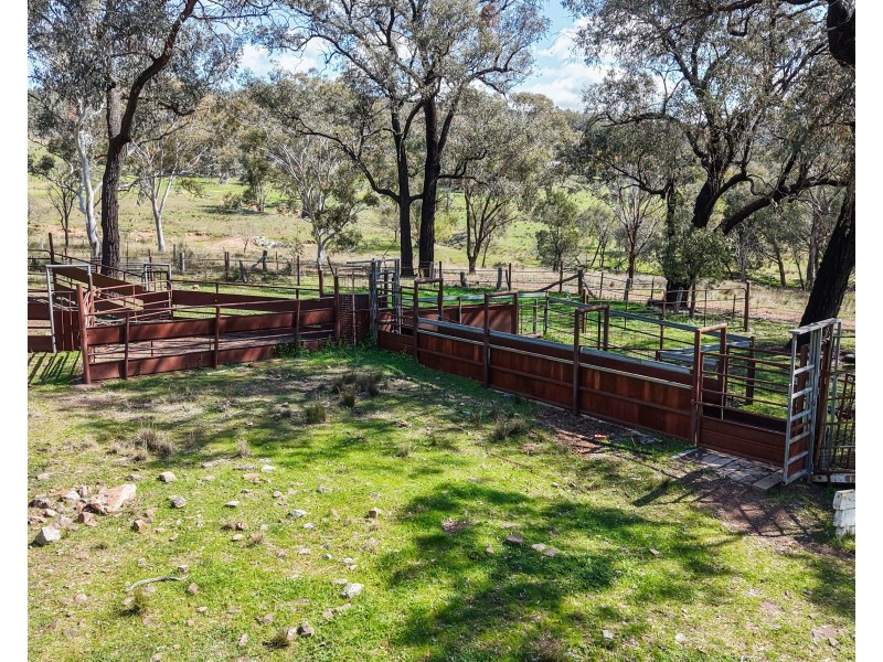 350 Ingles Road NEUREA Via, Wellington NSW 2820