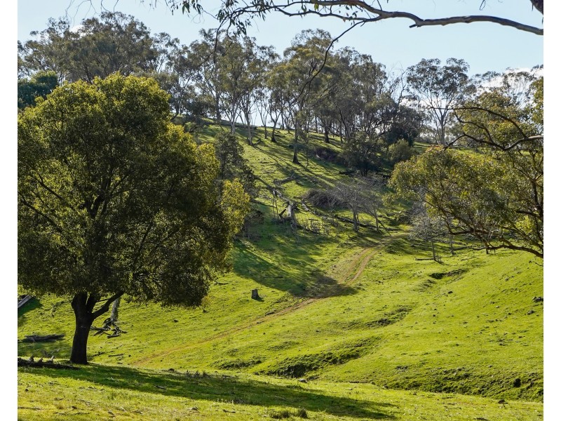 350 Ingles Road NEUREA Via, Wellington NSW 2820