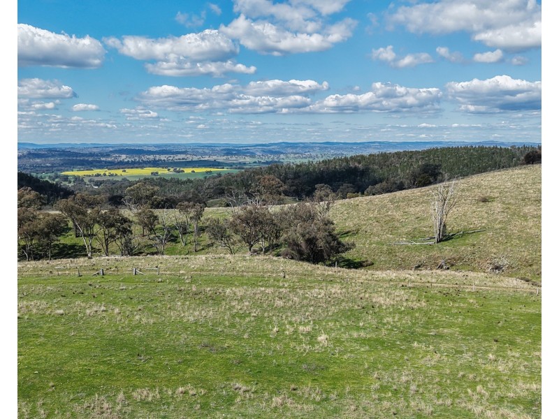 350 Ingles Road NEUREA Via, Wellington NSW 2820