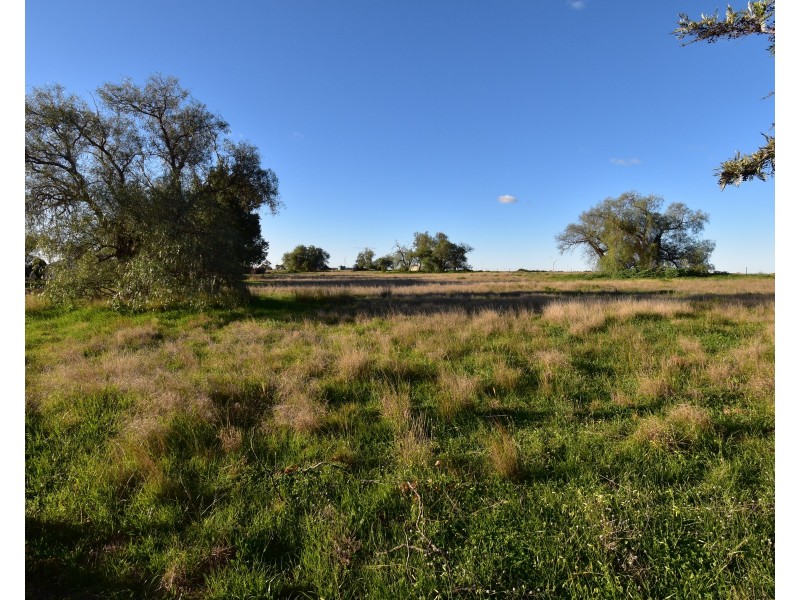 16 Church Street BODANGORA NSW via, Wellington NSW 2820