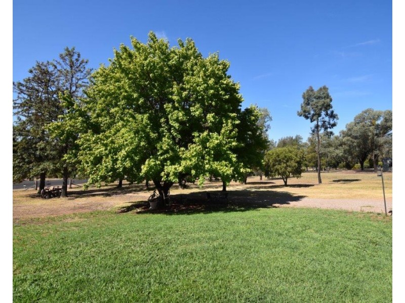 37 Gould League Place, Wellington NSW 2820