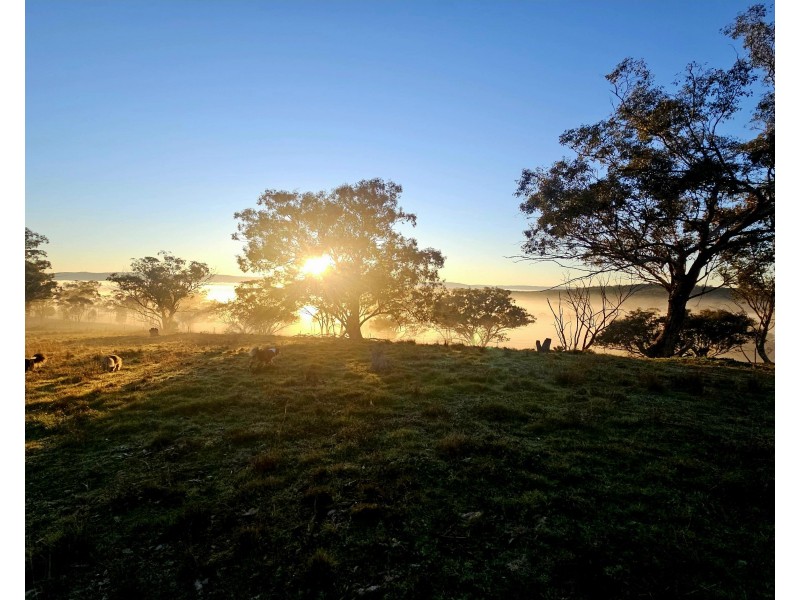 242 Fashions Mount Road Mumbil via, Wellington NSW 2820