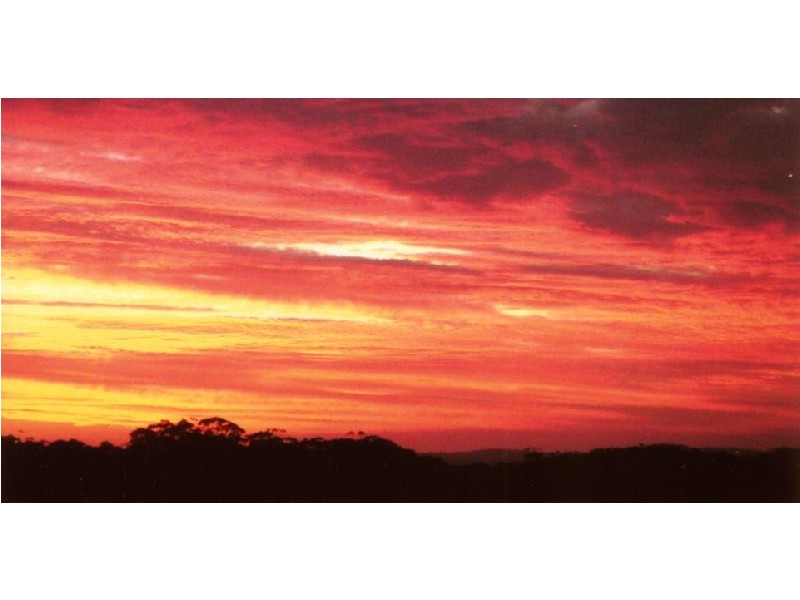 Avoca Beach NSW 2251