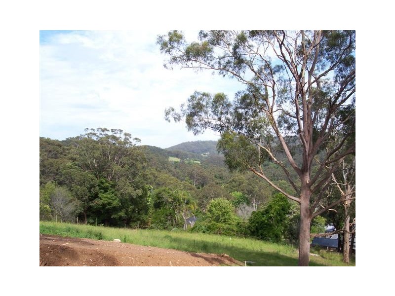 Avoca Beach NSW 2251