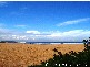 Avoca Beach NSW 2251