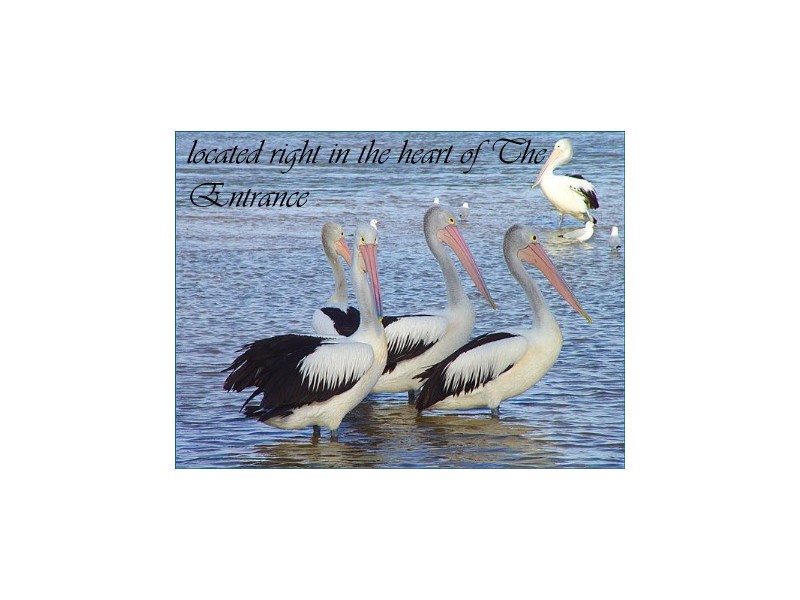 The Entrance NSW 2261