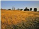 25 Scotts Court, Acacia Hills TAS 7306