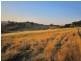 25 Scotts Court, Acacia Hills TAS 7306