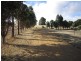 25 Scotts Court, Acacia Hills TAS 7306