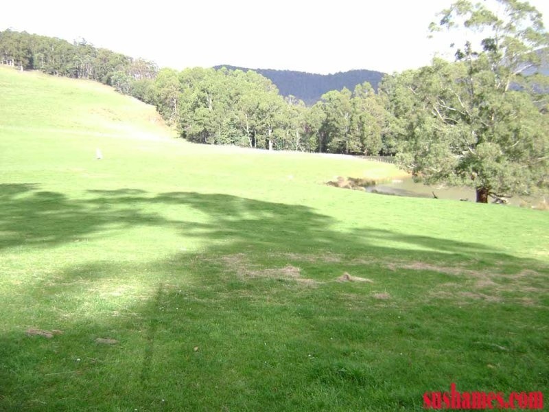 1 Beulah Road, Beulah TAS 7306