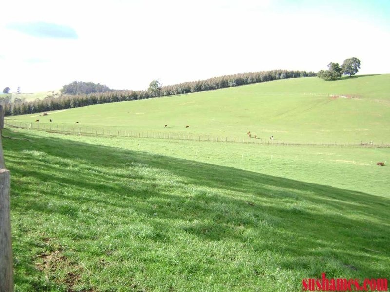 1 Beulah Road, Beulah TAS 7306