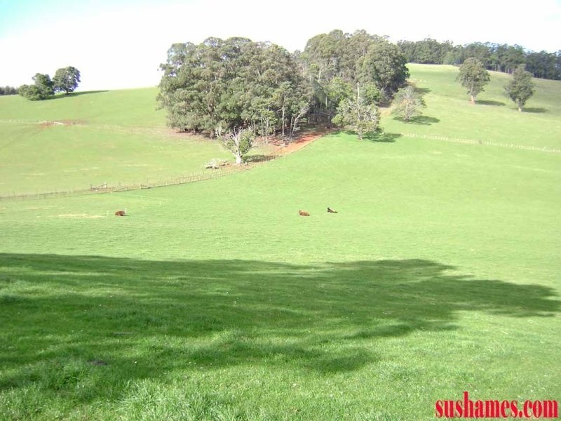 1 Beulah Road, Beulah TAS 7306