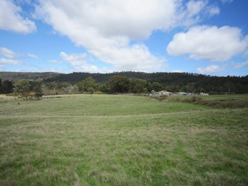 56 Priestleys Lane, Birralee TAS 7303