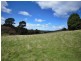 56 Priestleys Lane, Birralee TAS 7303