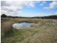 56 Priestleys Lane, Birralee TAS 7303