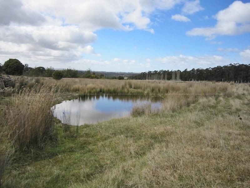 56 Priestleys Lane, Birralee TAS 7303
