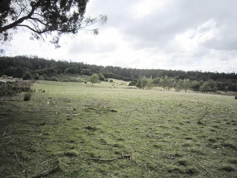 56 Priestleys Lane, Birralee TAS 7303