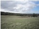 56 Priestleys Lane, Birralee TAS 7303
