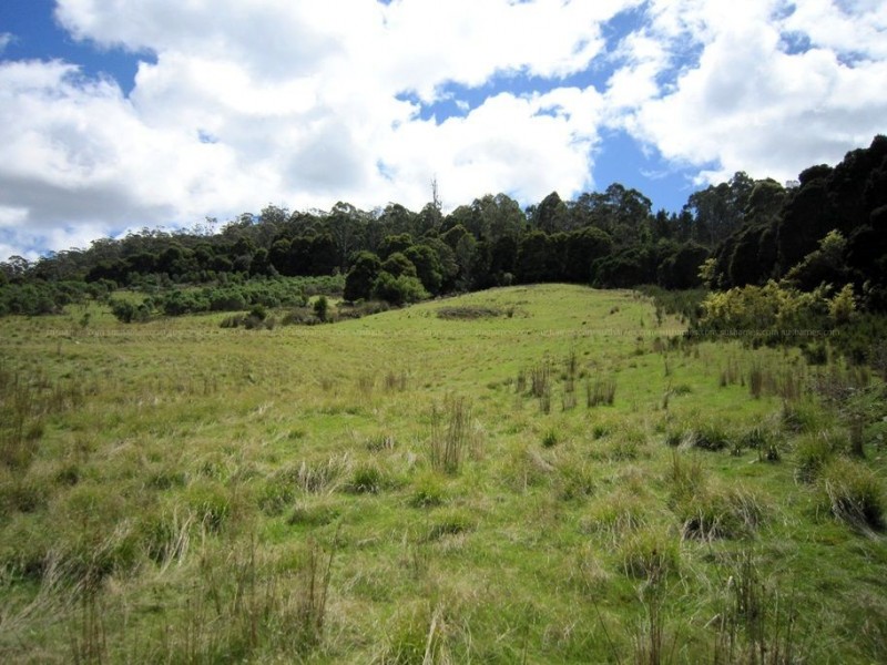 56 Priestleys Lane, Birralee TAS 7303