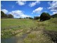 56 Priestleys Lane, Birralee TAS 7303