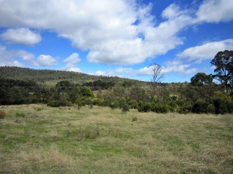 56 Priestleys Lane, Birralee TAS 7303