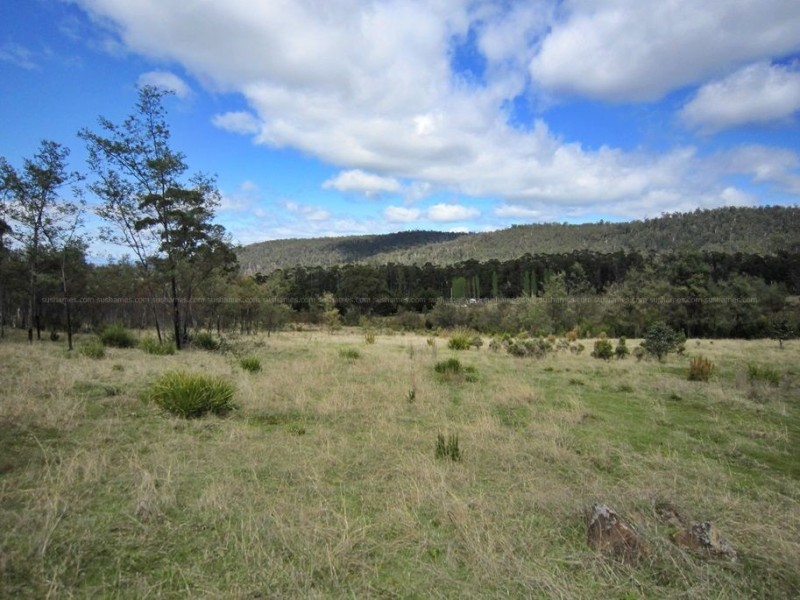 56 Priestleys Lane, Birralee TAS 7303