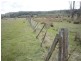 56 Priestleys Lane, Birralee TAS 7303