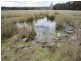 56 Priestleys Lane, Birralee TAS 7303