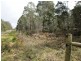 56 Priestleys Lane, Birralee TAS 7303