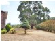 50 Littles Road, Forth TAS 7310