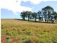 50 Littles Road, Forth TAS 7310