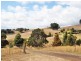 50 Littles Road, Forth TAS 7310