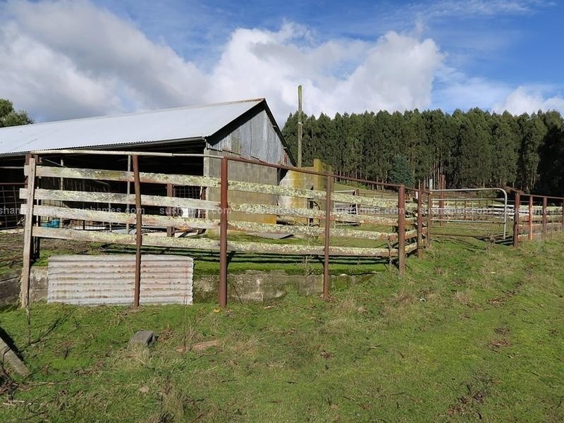 180 Haywoods Road, Gunns Plains TAS 7315