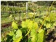 76 Brooks Road, Lalla TAS 7267