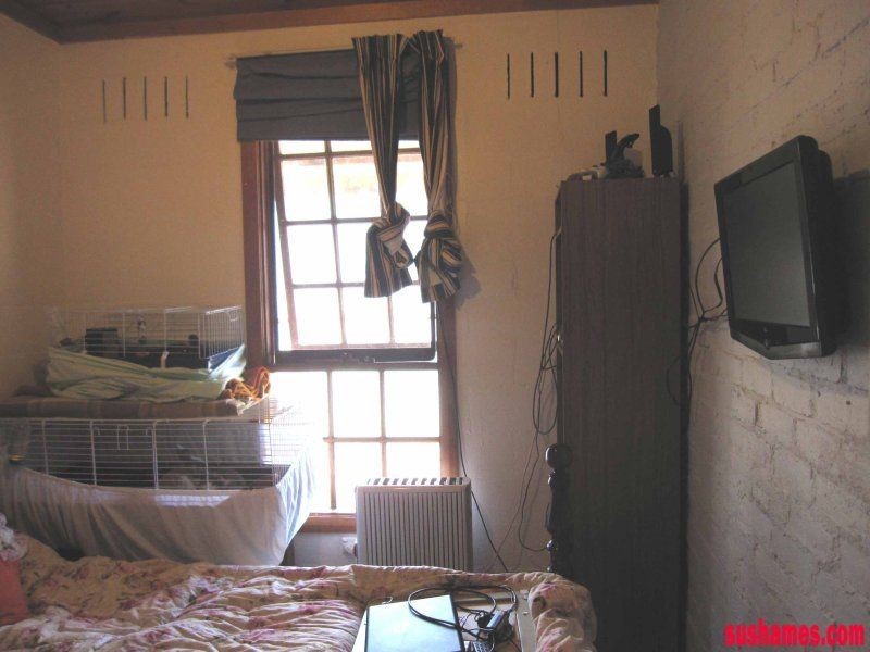 1909 Wilmot Road, Lower Wilmot TAS 7310