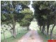 1909 Wilmot Road, Lower Wilmot TAS 7310