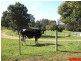 1909 Wilmot Road, Lower Wilmot TAS 7310