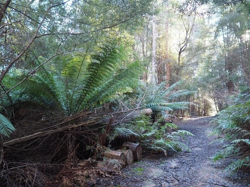 2153 Wilmot Road, Lower Wilmot TAS 7310