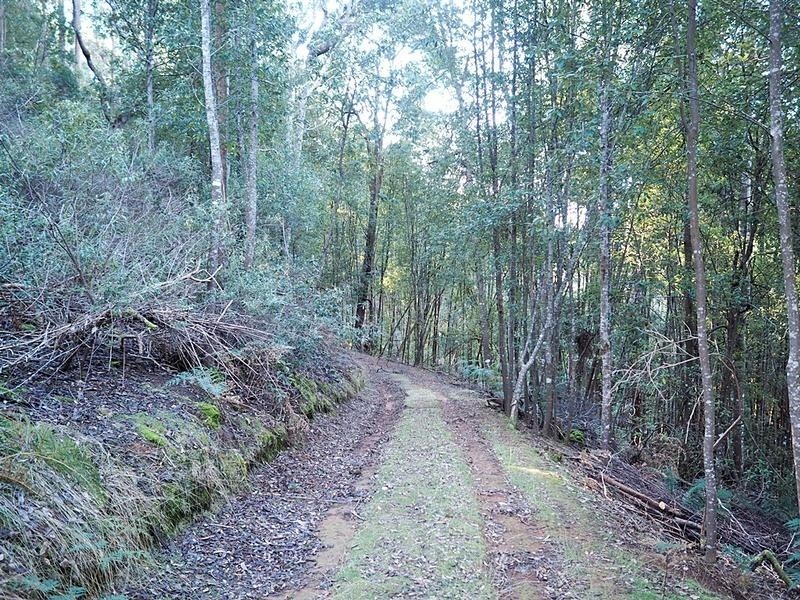 2153 Wilmot Road, Lower Wilmot TAS 7310