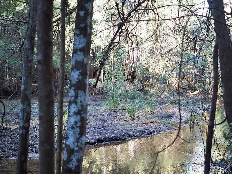 2153 Wilmot Road, Lower Wilmot TAS 7310