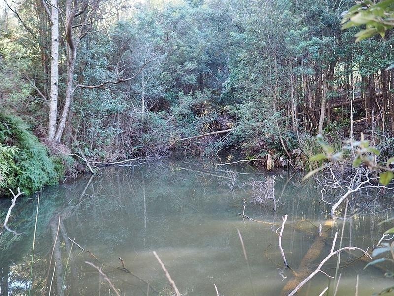 2153 Wilmot Road, Lower Wilmot TAS 7310