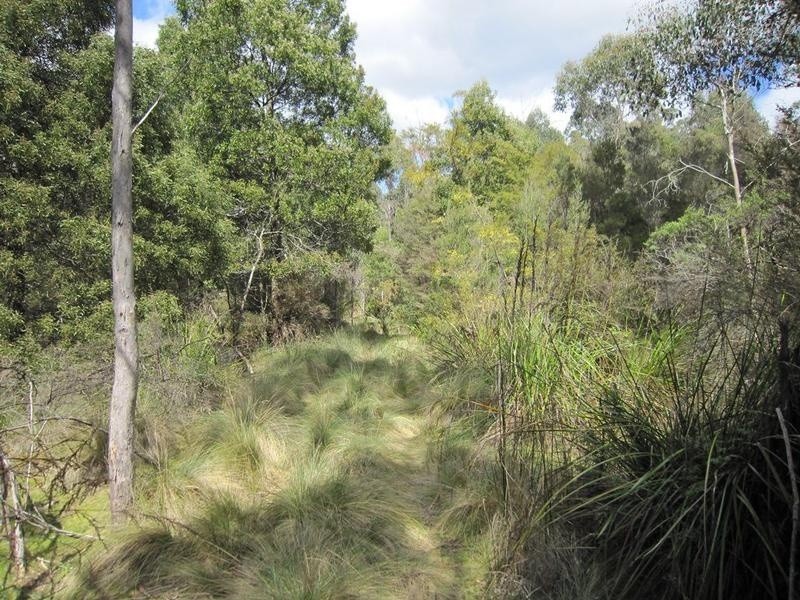 86 Dallys Road, Railton TAS 7305