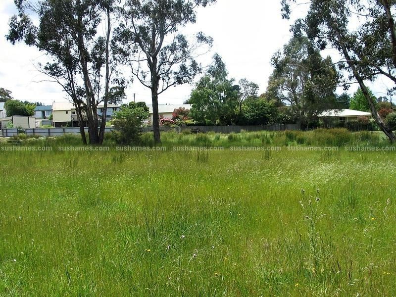 22 Giblin Street, Railton TAS 7305