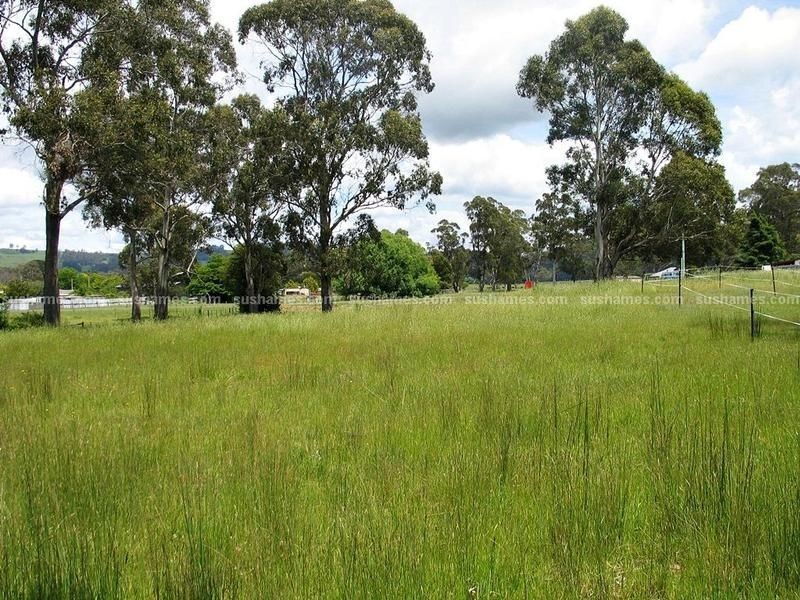 22 Giblin Street, Railton TAS 7305