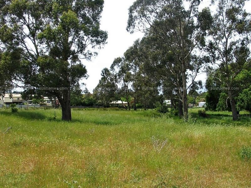 22 Giblin Street, Railton TAS 7305