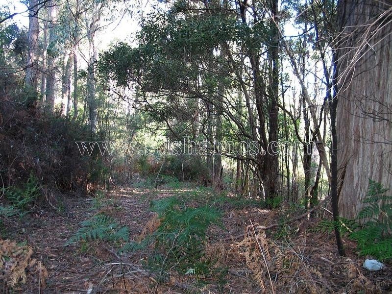 120-190 Sunnyside Road, Railton TAS 7305